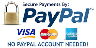 pay pal logo
